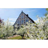 2720_2356 Wohnhaus mit Fachwerk zwischen blühenden Obstbäumen.  | Fruehlingsfotos aus der Hansestadt Hamburg; Vol. 2
